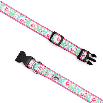 Teal Floral Dog Collar in teal, product view 3
