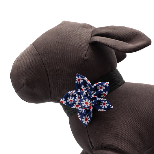 Daisies Dog Flower – Polyester, Navy, Sizes S, L