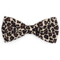 Leopard Dog Bow Tie – Polyester, Tan & Teal, Sizes S, L