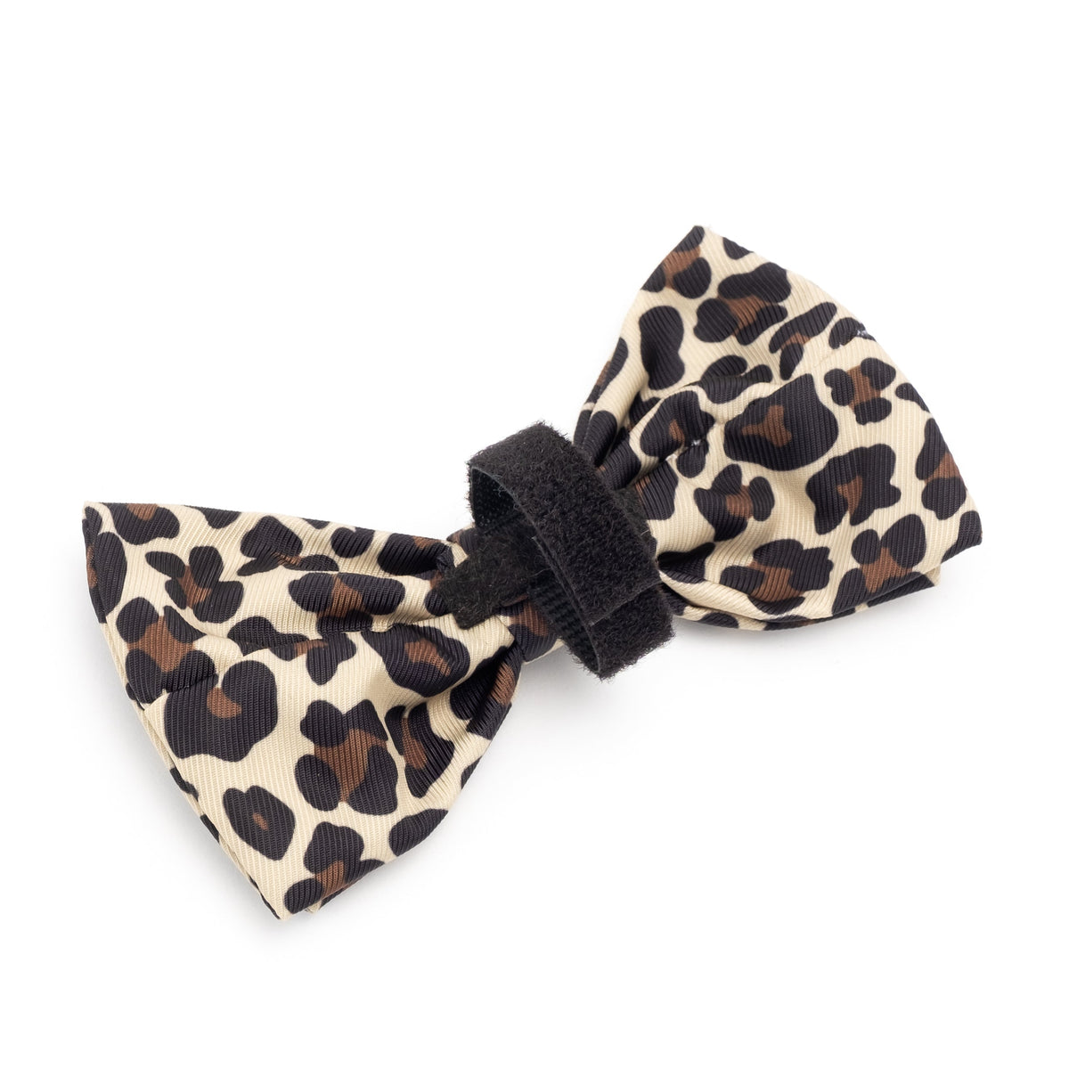 Leopard Dog Bow Tie – Polyester, Tan & Teal, Sizes S, L