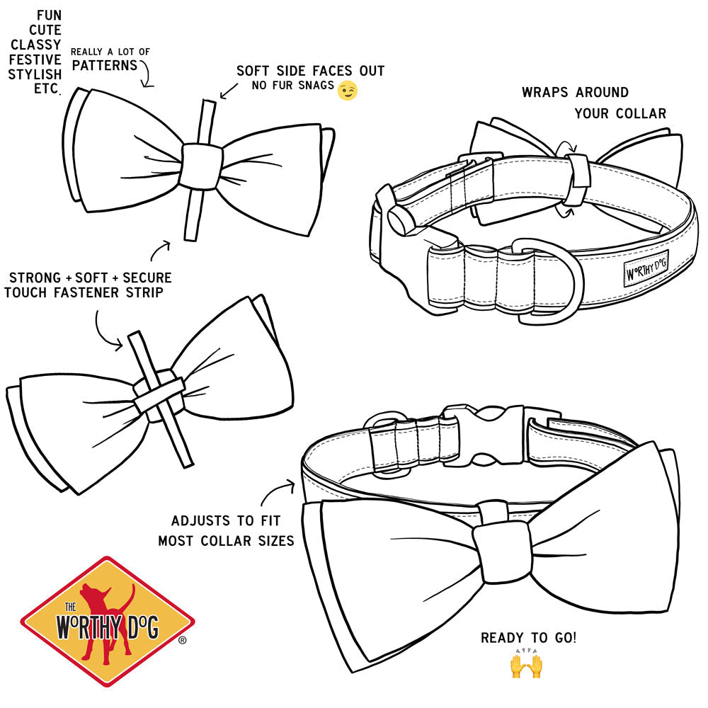 Squirrely Dog Bow Tie – Polyester, Teal, Sizes S, L