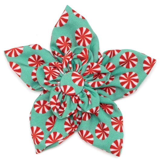Peppermints Dog Flower – Polyester, Green, Sizes S, L