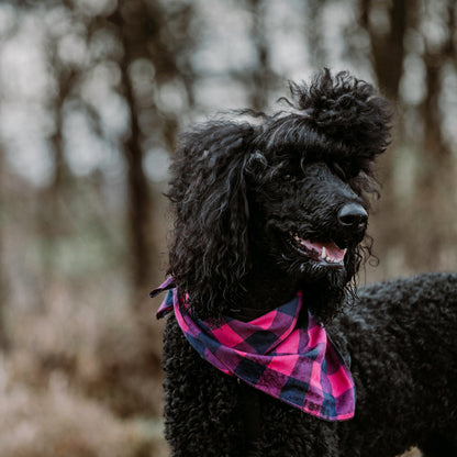 Pink/Navy Buffalo Check Dog Bandana – Cotton, Pink/Navy, Sizes S, L