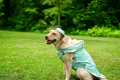 Blue Rubber Duck Dog Raincoat, blue, product view 4