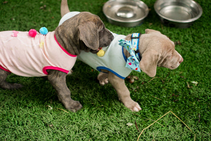 Birthday Dog Tank Top – Cotton, Blue & Pink, Sizes XS–XXL