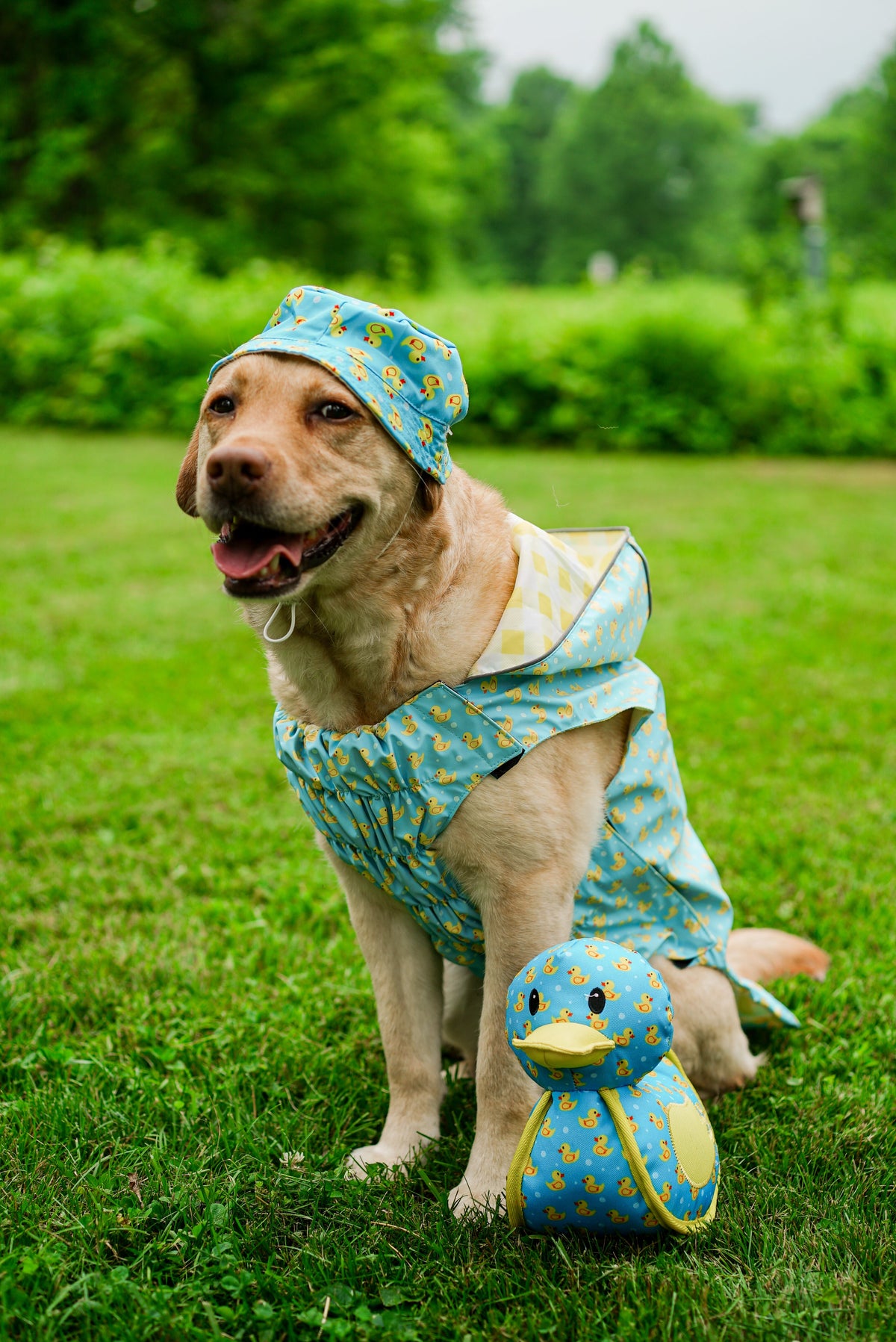 Duck Squeaky Fabric Dog Toy in blue, product view 4