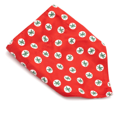 Ohio State Tossed Decals Dog Slide-On Bandana – Polyester, Scarlet, Sizes S, L