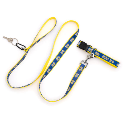 Blue Beer Mug Nylon Dog Leash — leash shown with collar and dispenser