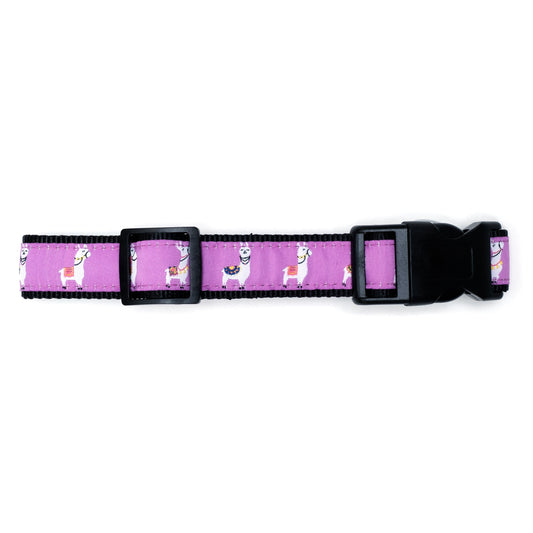 Llamas Dog Collar – Purple, Sizes XS–XL
