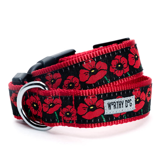 Poppies Dog Collar – Black, Sizes XS–XL
