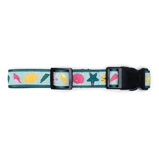 Seashells Dog Collar – Teal, Sizes XS–XL