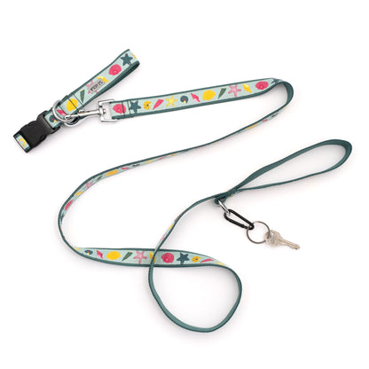 Seashells Dog Collar – Teal, Sizes XS–XL