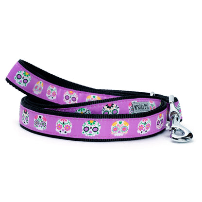 Decorated sugar-skull illustrations nylon dog leash, Purple colorway coiled