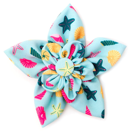 Seashells Dog Flower – Polyester, Teal, Sizes S, L