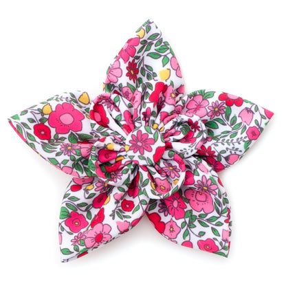 Spring Garden Dog Flower – Polyester, Coral, Sizes S, L