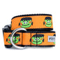 Frank Dog Collar – Orange, Sizes S–XL