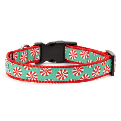 Peppermints Dog Collar – Green, Sizes S–XL
