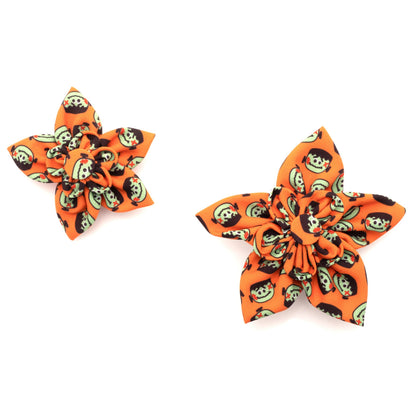 Frank Dog Flower – Polyester, Orange, Sizes S, L