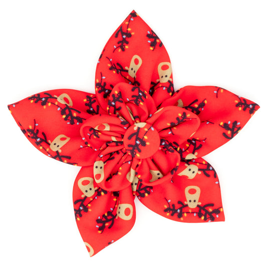 Rudy Dog Flower – Polyester, Red, Sizes S, L