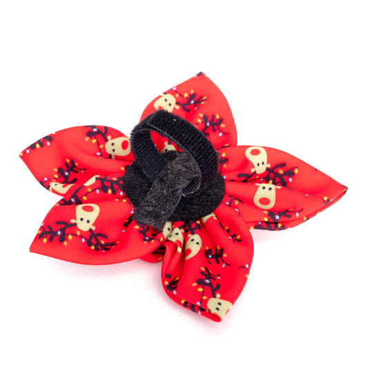 Rudy Dog Flower – Polyester, Red, Sizes S, L