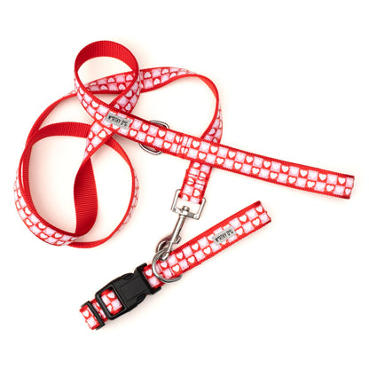 Colorblock Hearts Dog Leash – Red/Pink, Sizes S, L