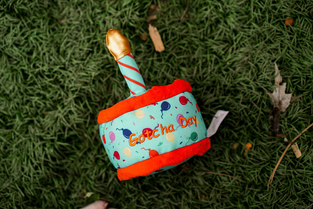Gotcha Day Cake Squeaky Dog Toy with Fabric Candle, outdoor view