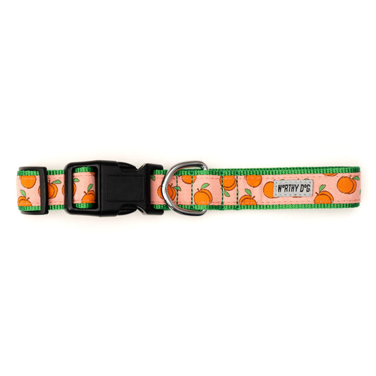 Peachy Keen Dog Collar – Peach, Sizes XS–XL