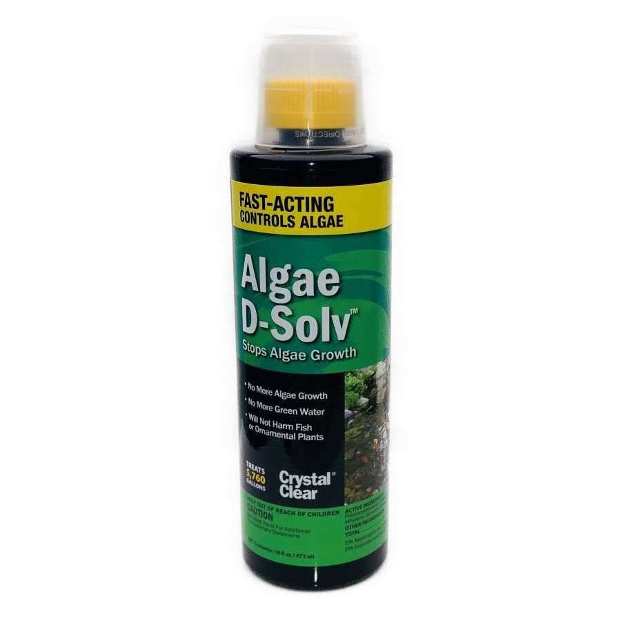Fish Cleaning - Algae D-Solv 16oz - Chemicals