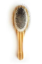 Bass Brush Large Oval A-3 - Dog Grooming