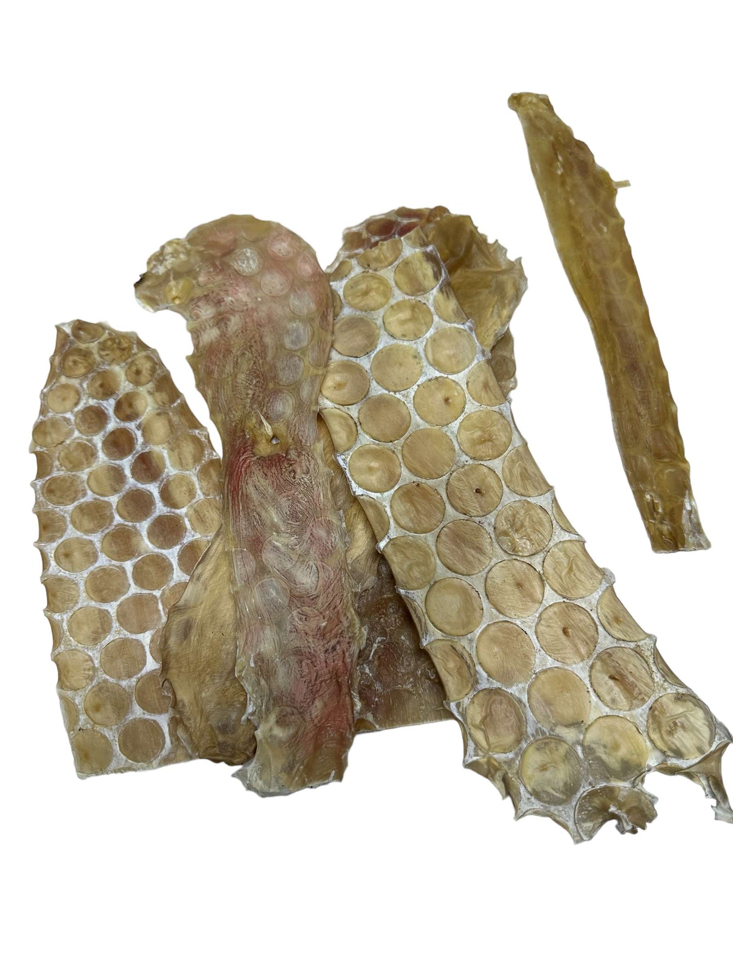 Dog Treat - Beef Bladder Strips