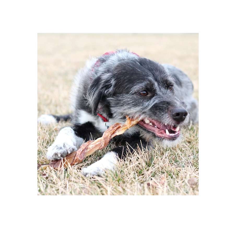 Dog Treat - Beef BackStrap Combo Chews - 2pk
