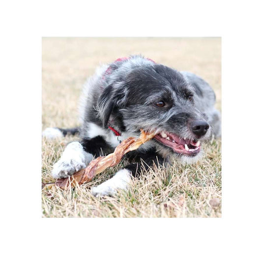 Dog Treat - Beef BackStrap Combo Chews - 2pk