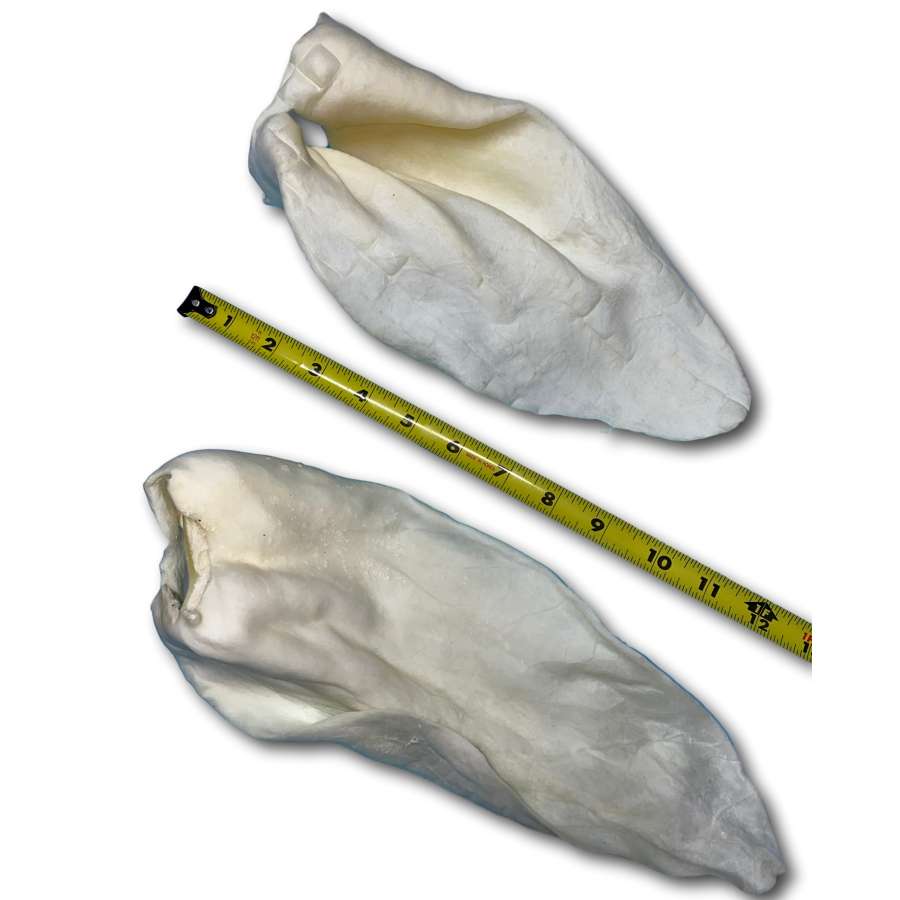 Dog Treat - Buffalo Ear Jumbo