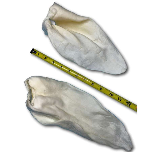 Dog Treat - Buffalo Ear Jumbo