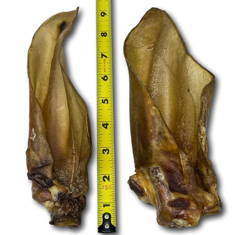 Dog Treat - Buffalo Ears Unprocessed 10 Pack