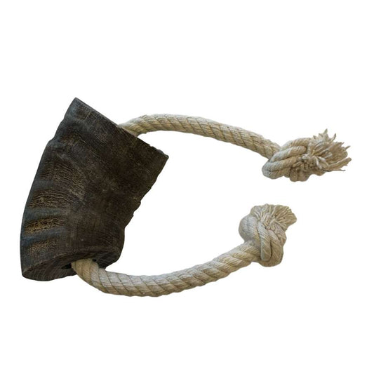 Dog Treat - Buffalo Horn On A Rope