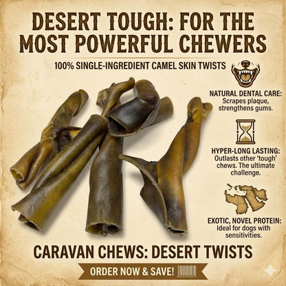 Camel Skin Twists 5 Pack Dog Treat – Novel Protein Camel Skin Chew