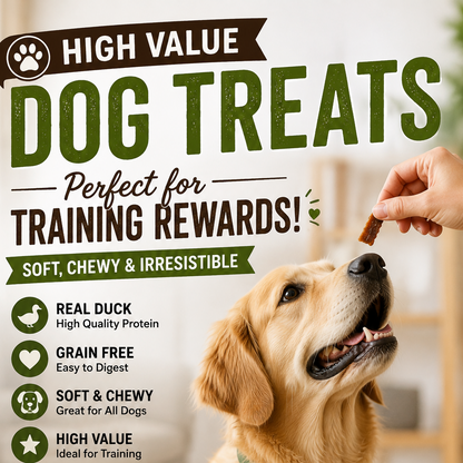 A golden retriever sits on a light wood floor while a human hand offers a treat from above. The scene is an advertisement for Advance Pet Supply Duck Soft & Chewy Jerky dog treats, showing the product packaging, a bowl of treats, and marketing text about training rewards.