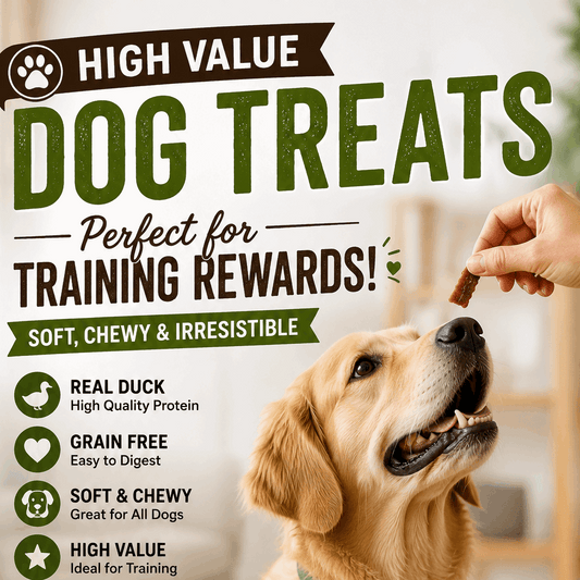 A golden retriever sits on a light wood floor while a human hand offers a treat from above. The scene is an advertisement for Advance Pet Supply Duck Soft & Chewy Jerky dog treats, showing the product packaging, a bowl of treats, and marketing text about training rewards.