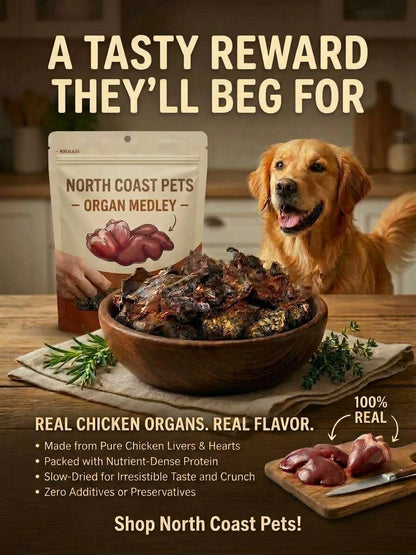 a dog sitting in front of a bowl of chicken