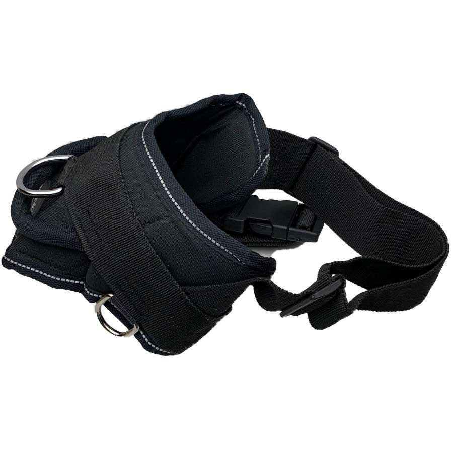 DT Harness - Medium - Dog Safety
