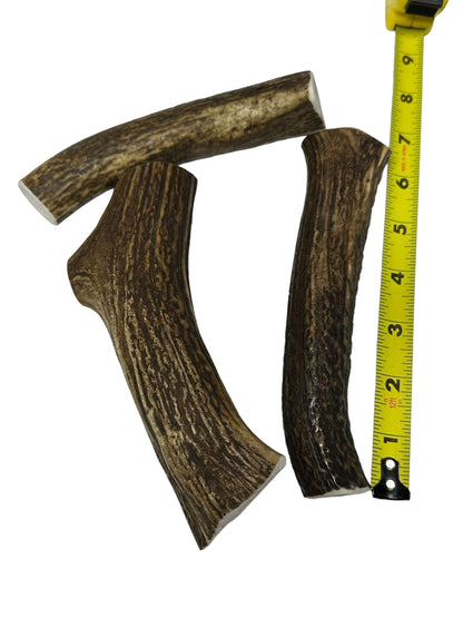 Dog Treat - Deer Antler Medium