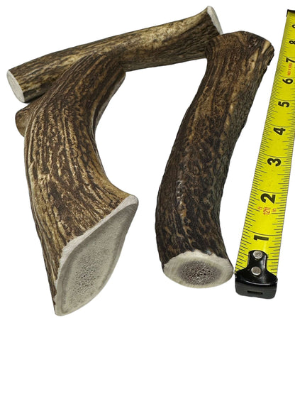 Dog Treat - Deer Antler Medium - Image 2