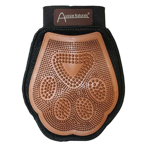 Deluxe Shampoo & Grooming Mitt - Dog Grooming