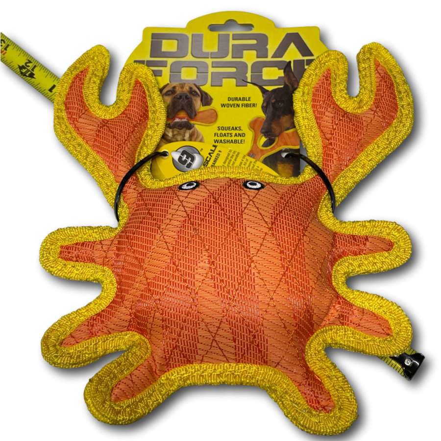 DuraForce Crab - Dog Toy