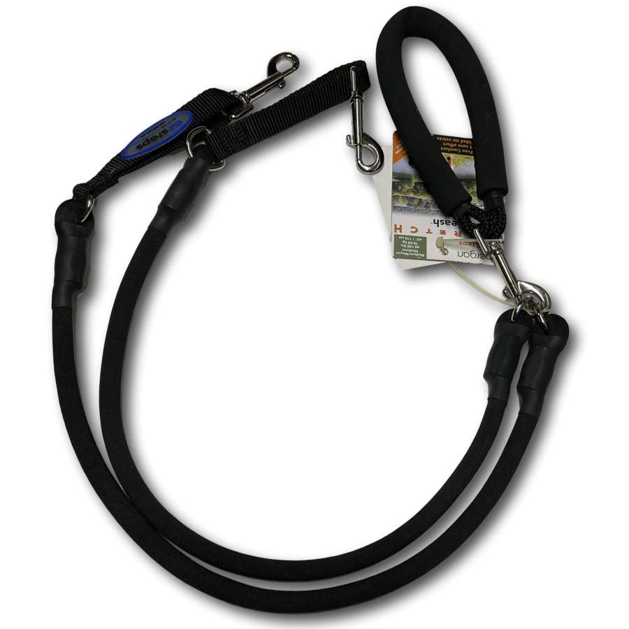 EZ Steps Bungee Leash - 2 Dog - Dog Outdoor