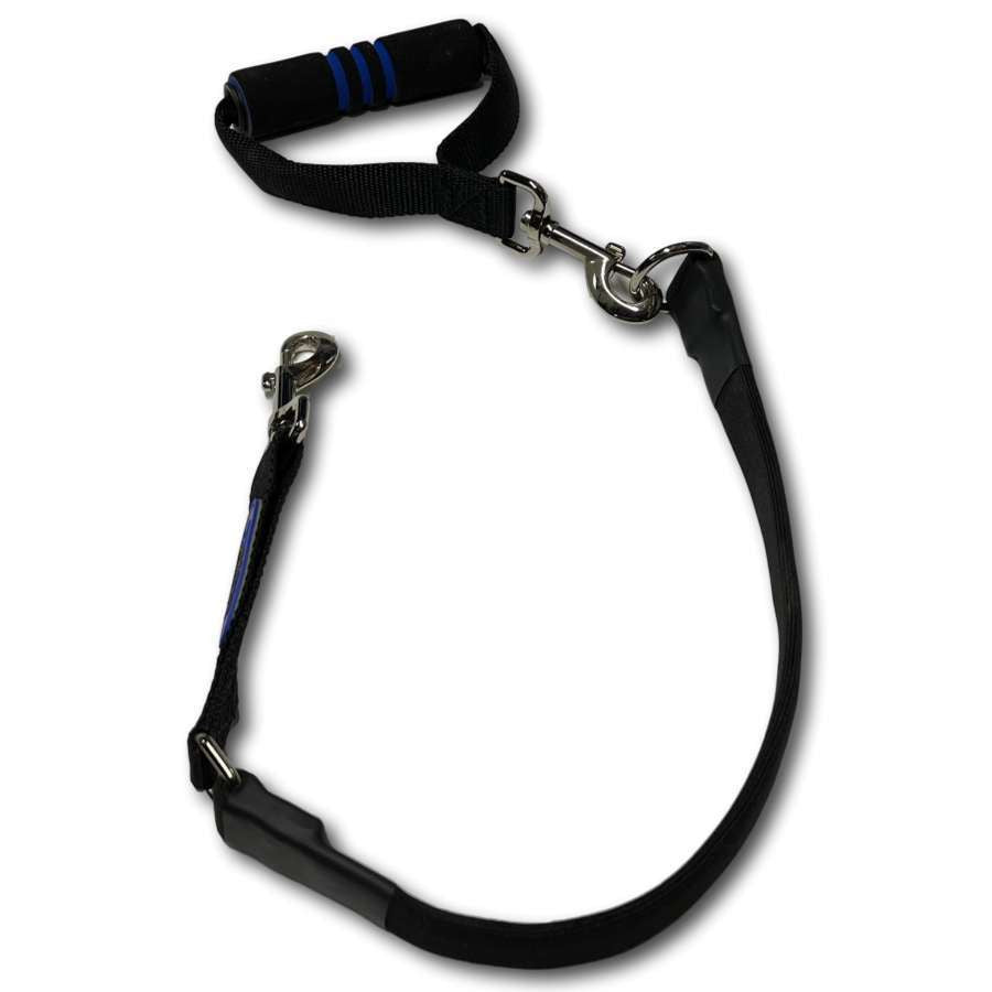 EZ Steps Bungee Leash - Medium - Dog Outdoor
