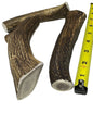 Dog Treat - Elk Antler Large
