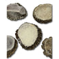 Dog Treat - Elk Antler Rosette Buttons