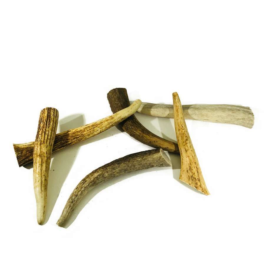 Dog Treat - Elk Antler Small - 2 Pack